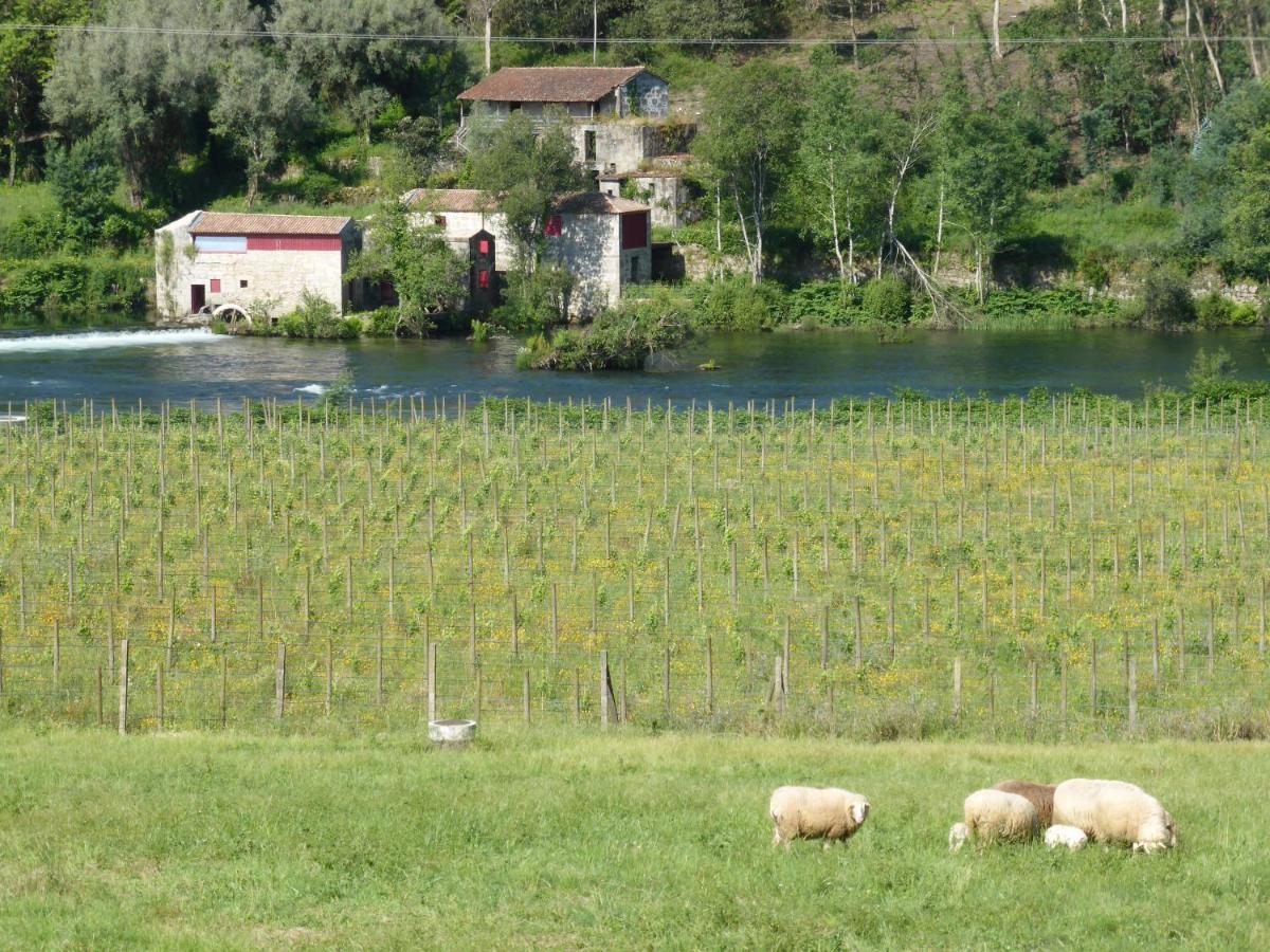 Quinta Do Burgo - Nature Hotel Amares Extérieur photo