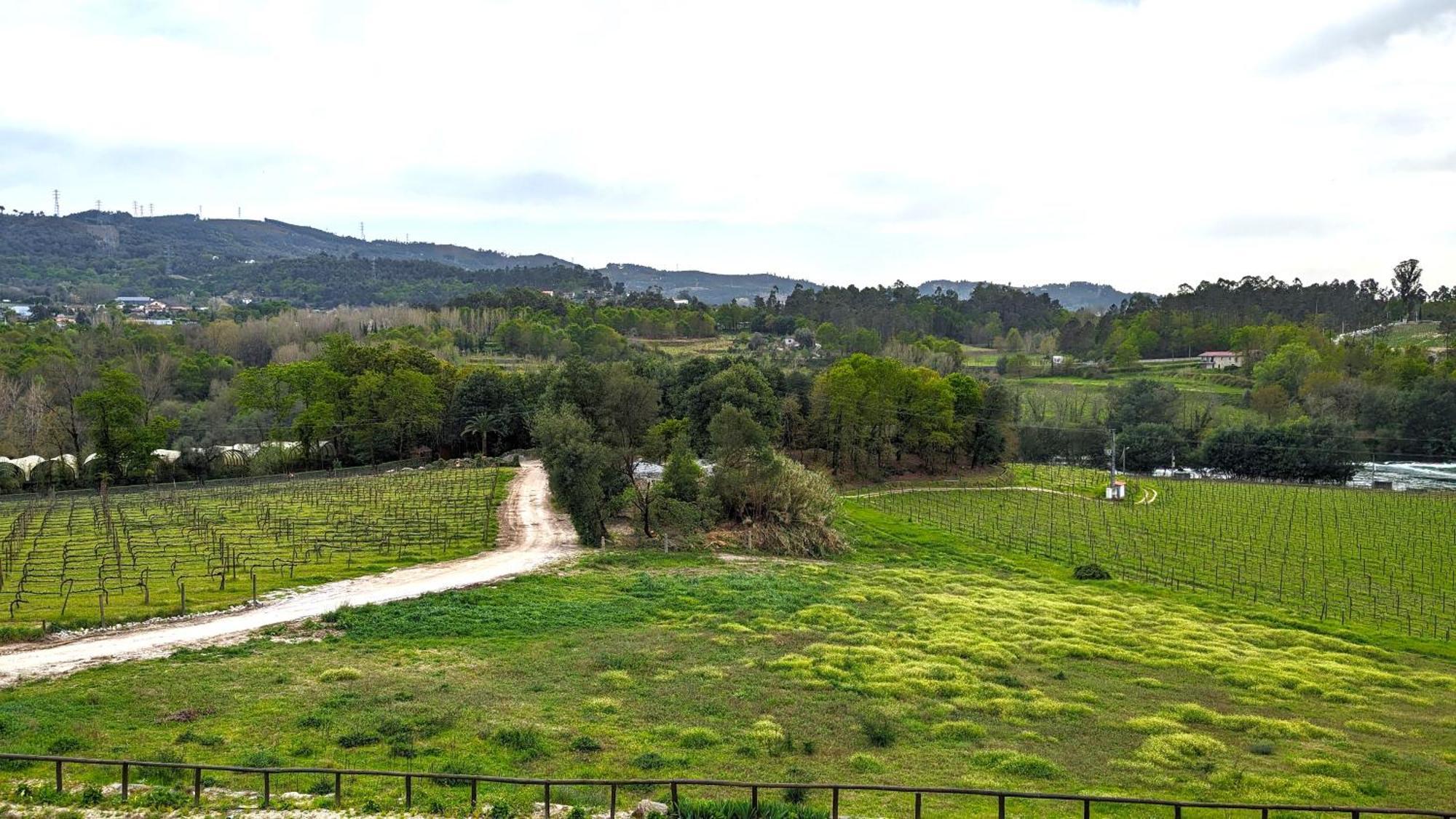 Quinta Do Burgo - Nature Hotel Amares Extérieur photo